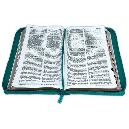 Biblia Letra Grande con Cierre RV1960 con indice, 9798885160469