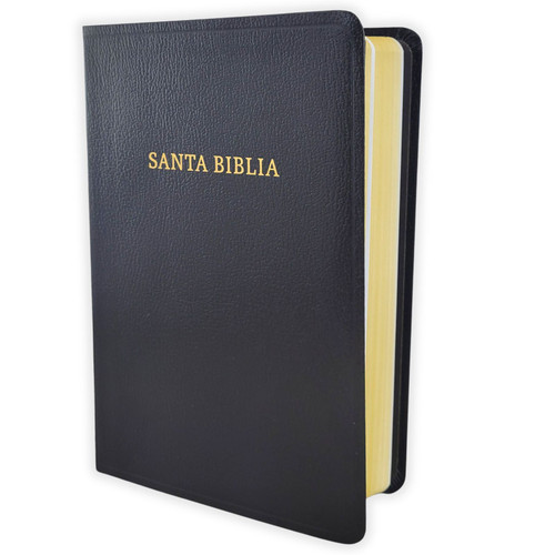 Biblia Letra Grande 12 puntos RV1960, imi. piel negro