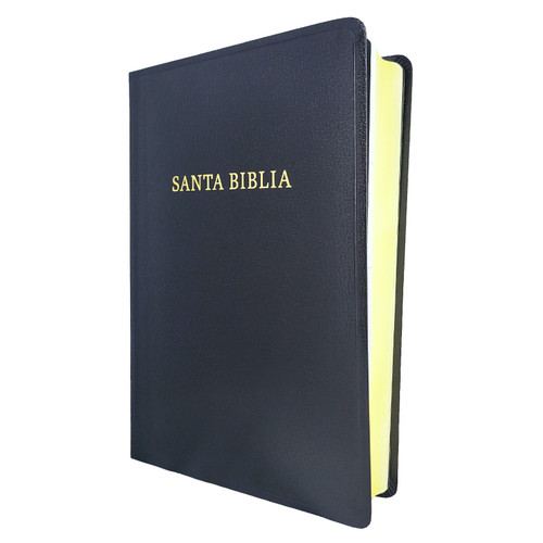 Biblia Letra Gigante RV1960 imit. piel negro