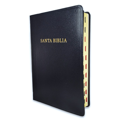 Biblia Letra Gigante RV1960 imit. piel negro con índice