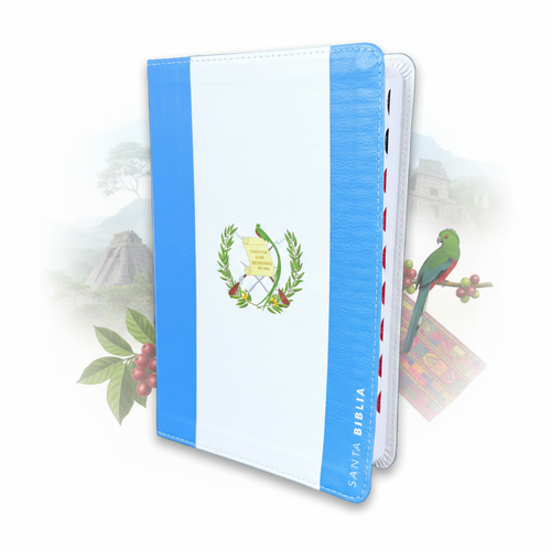 Biblia Letra Grande 12 puntos RV1960, imit. piel con índice - Guatemala