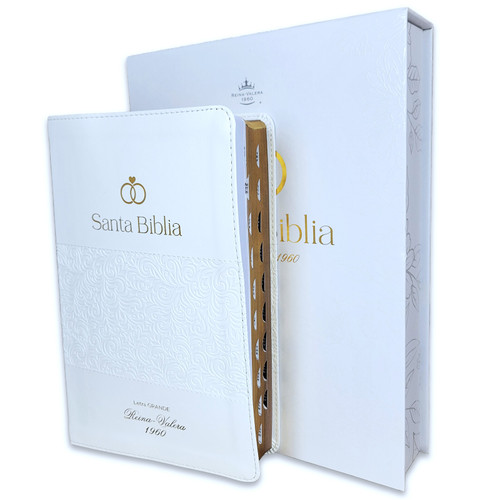 Biblia de Boda Letra Grande con Caja de Regalo RV1960 imit. piel blanco acentos dorados con índice