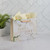 Large Landscape Gift Bag with Tissue Sheets: Love - Corinthians 13:4, white rose