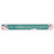 Large Magnetic Strip: Fullness of joy - Psalm 16:11, teal floral