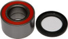 ALL BALLS Wheel Bearing & Seal Kit, 22-51516
