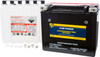 FIRE POWER Maintenance Free Sealed Battery, 49-2300