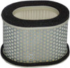 HIFLOFILTRO Air Filter, 551-4604