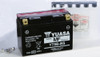 YUASA AGM Maintenance Free Battery, 49-1953