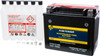 FIRE POWER Maintenance Free Sealed Battery, 49-2270