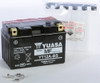 YUASA AGM Maintenance Free Battery, 49-1961