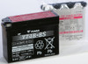 YUASA AGM Maintenance Free Battery, 49-1947