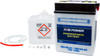FIRE POWER 12V Heavy Duty Battery w/Acid Pack, 490-2210