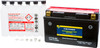 FIRE POWER Maintenance Free Sealed Battery, 49-2257