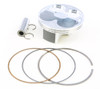 VERTEX Piston Kit, 175-23959C