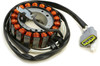 SP1 Spi Stator Assy Yamaha S/M, 44-10977
