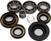 ALL BALLS Differential Bearing & Seal Kit, 22-52047