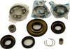 ALL BALLS Differential Bearing & Seal Kit, 22-52006