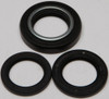 ALL BALLS Differential Seal Kit, 22-520085