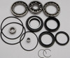 All Balls New Differential Bearing & Seal Kit, 22-52010