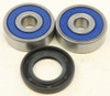 ALL BALLS Wheel Bearing & Seal Kit, 22-51441