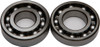 ALL BALLS Crankshaft Bearing & Seal Kit, 22-41059