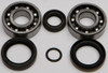 ALL BALLS Crankshaft Bearing & Seal Kit, 22-41099