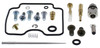 ALL BALLS Carburetor kit, 226-1753
