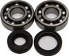 ALL BALLS Crankshaft Bearing & Seal Kit, 22-41008