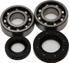 ALL BALLS Crankshaft Bearing & Seal Kit, 22-41067