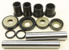 ALL BALLS Rear Knuckle Bushing Kit, 243-1035K