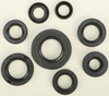 Vertex New Oil Seal Kit, 182-2181