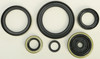 Vertex New Oil Seal Kit, 182-2190