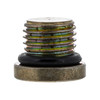 Polaris OEM Drain Plug with O-Ring for RZR, 3234499