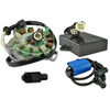 RMSTATOR New Aftermarket Yamaha Stator 100 W + High Performance CDI + External Ignition Coil + Backplate + Puller, RM22847