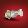 Show Chrome Accessories Led Replacement Bulb 6000K, 10-2596LA