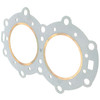 Johnson Evinrude OMC New OEM Head Gasket, 0203247