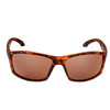 Polaris New OEM Polycarbonate Switchback Sunglasses TR90 Frames, 2862659