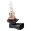 Can-Am OEM Halogen Bulb, 415129249