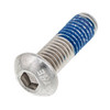 Can-Am OEM Torx Truss Screw, 250000830
