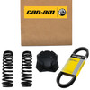 Can-Am New OEM Paint Cluster Support, 709402243