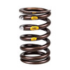 Ski-Doo OEM Valve Spring, 420239295