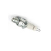 Johnson Evinrude OMC OEM Spark Plug Champion QL77JC4, 0509925