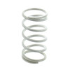 Mercury Marine/Mercruiser New OEM Spring, 24-30316