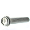 Mercury Marine/Mercruiser New OEM Screw, 10-18699