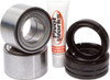 PIVOT WORKS Wheel Bearing Kit & Seal Kit, 52-0459