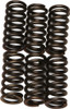 EBC Redline Clutch Springs, 15-1711