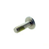 Can-Am New OEM Spyder Torx Truss Screw M6 X 20, 250000303
