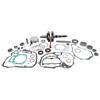 VERTEX Complete Engine Rebuild Kit, WR00015