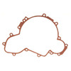Polaris OEM Ignition Cover Gasket, RZR, 5813505