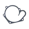 Polaris New OEM Cooling System Cover Gasket, 5811627